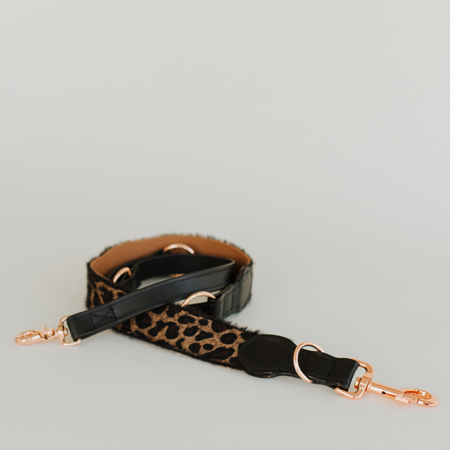 Dog Leash XXX